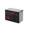 GPL12880 BATTERIE PLOMB VRLA AGM CSB 12V 88AH