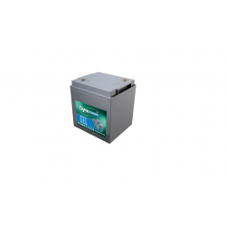 DGY6-110EV BATTERIE VRLA...