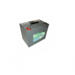 DGY12-44EV BATTERIE VRLA...