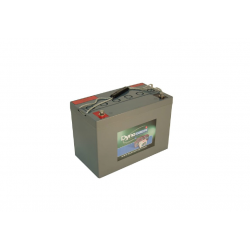 DGY12-100EV BATTERIE VRLA...