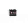 12N24-3A BATTERIE MOTOCULTURE YUASA 12V 26AH (250A) +D 